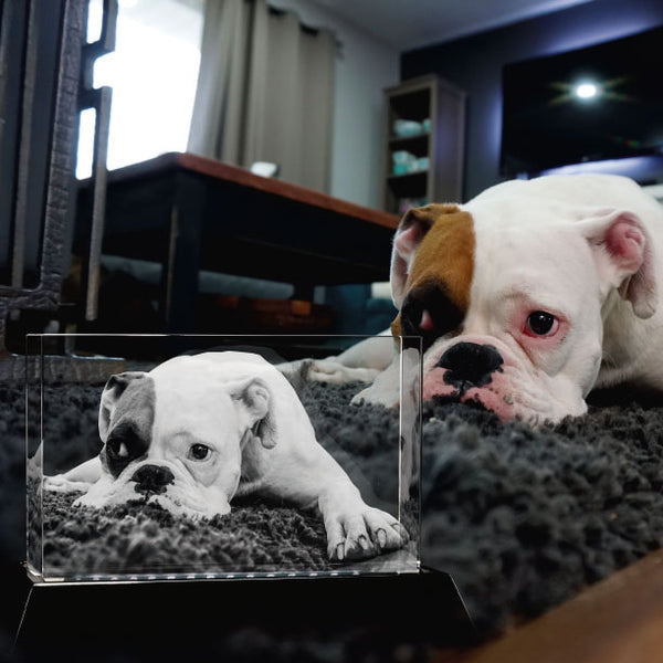 3D Laser Crystal Brick | Personalized Engraving | Custom Photo Laser Etched Gift