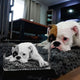 Unike Love | Personalized Gifts