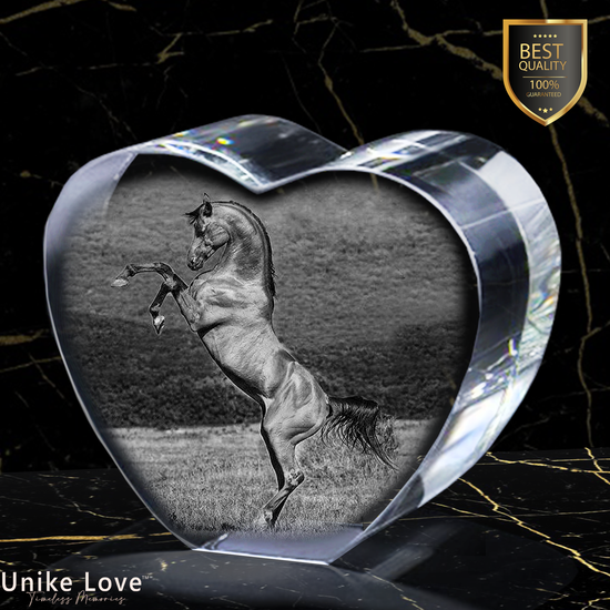 Pet Lovers Gift | 3D Photo Crystal Heart | Personalized Laser Engraving.