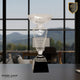 Clear Crystal Cup with Black Pedestal Base