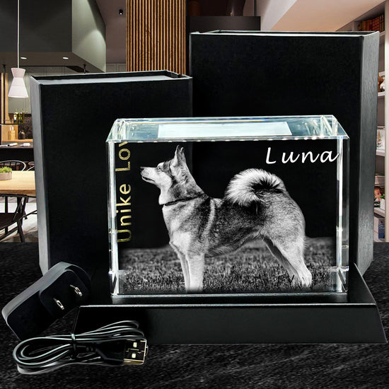 Perfect Pets Lovers Gift | 3D Photo Crystal Brick | Luxury Detail | Personalized Laser Engraving.