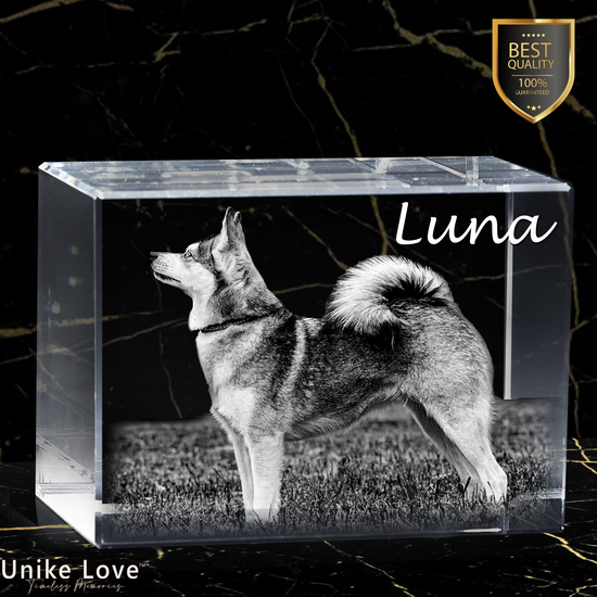 Perfect Pets Lovers Gift | 3D Photo Crystal Brick | Luxury Detail | Personalized Laser Engraving.