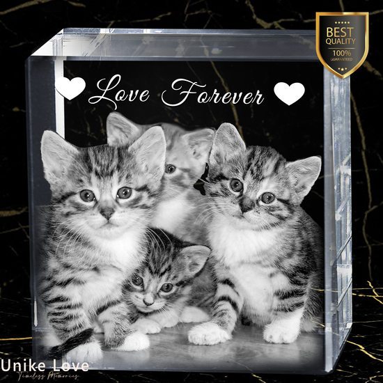Lovely Pets Photo Gift! | 3D Laser Crystal Premium Square | Personalized Engraving | Custom Photo Laser Etched Gift