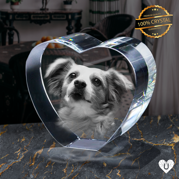 3D Photo Crystal Heart | Personalized Artwork | Best Friend Birthday Gift | Custom Friendship Gift | Everlasting Luxury | Bestie Gift