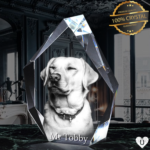 3D Photo Crystal Prestige | Personalized Laser Engraving | 3D-Etched Crystal with your Photo | Iceberg Shape | Engraved Picture in High Quality Crystal